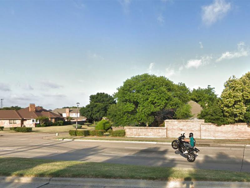 Showing Off For the Camera 17