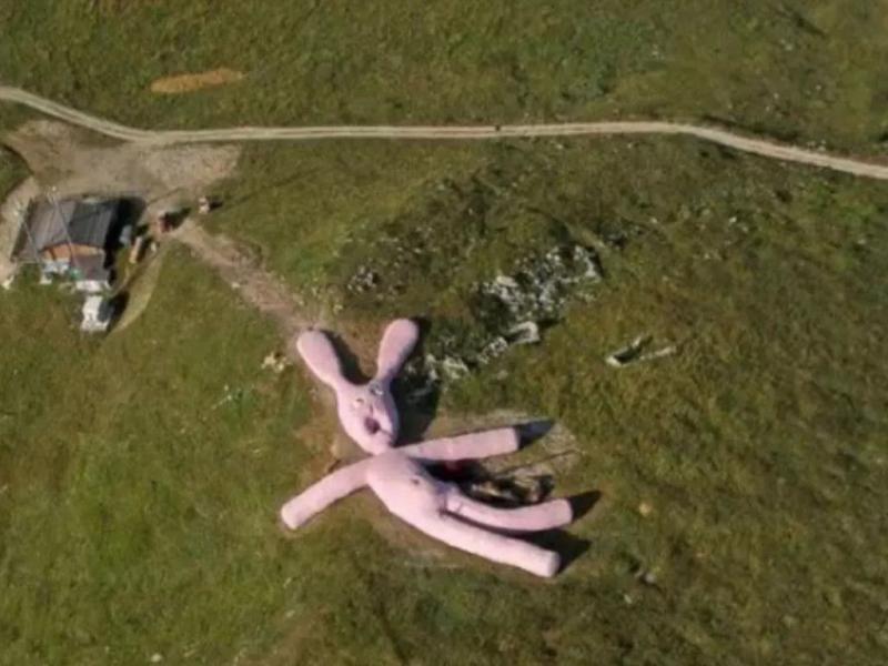 An Enormous Pink Bunny 32