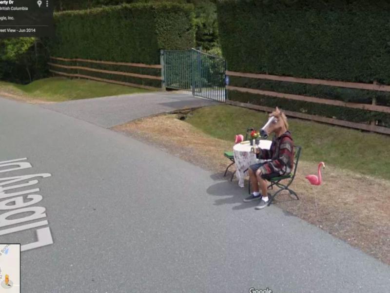 A Horse in His Bathrobe 38