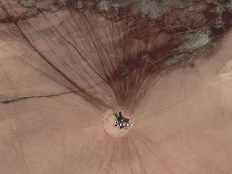 An Oasis in the Desert 59