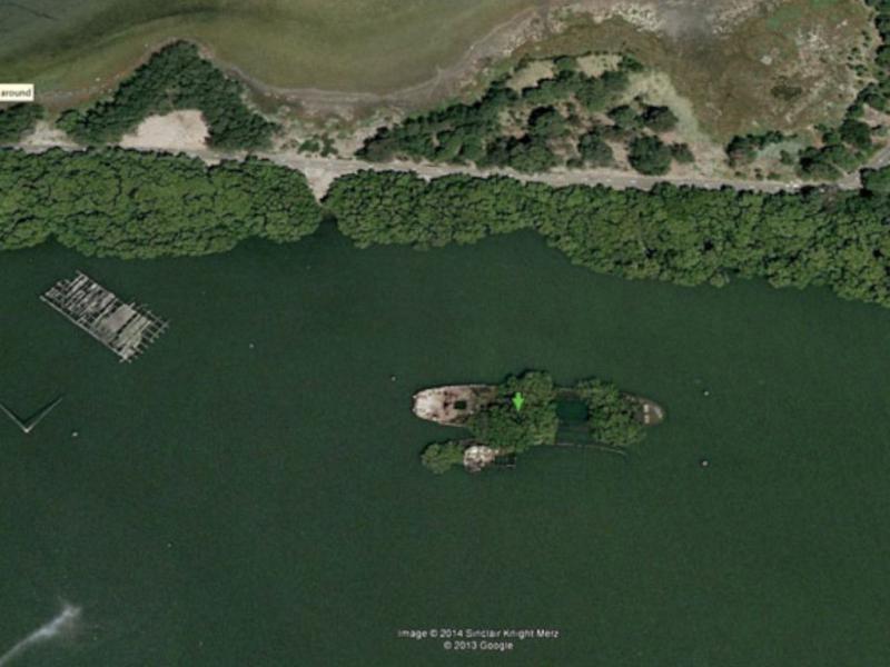 Shipwreck With Trees 71