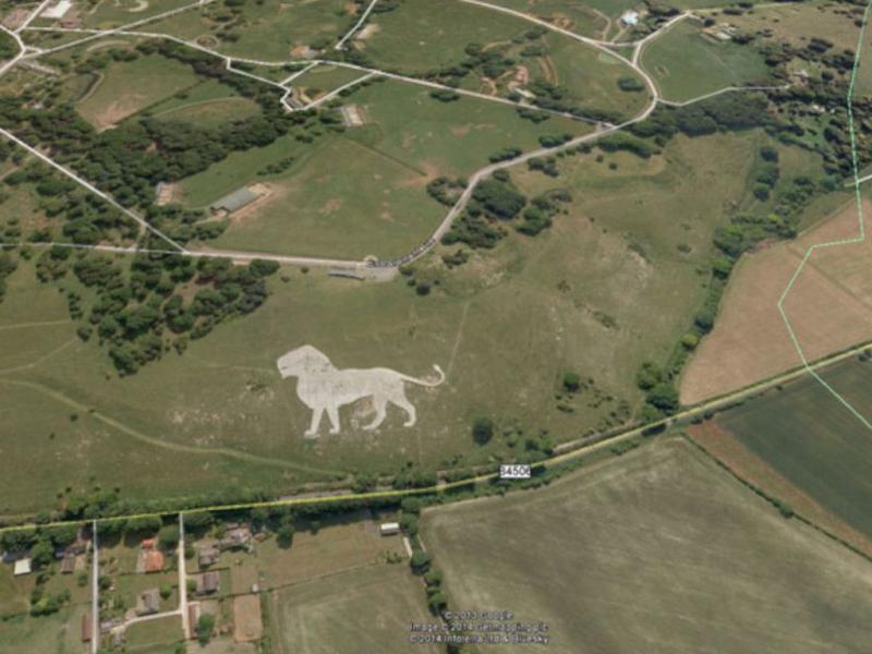 The Lion Sleeps Tonight 75