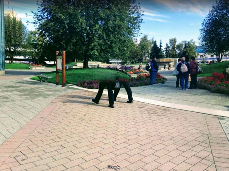 A Twin Pair of Legs 8