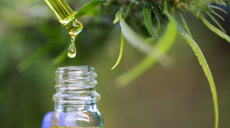 CBD Oil for health