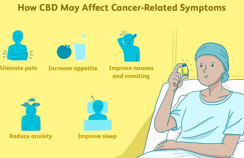 CBD Oil for Cancer Treatment Symptoms