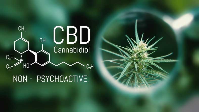 CBD for Mental Health