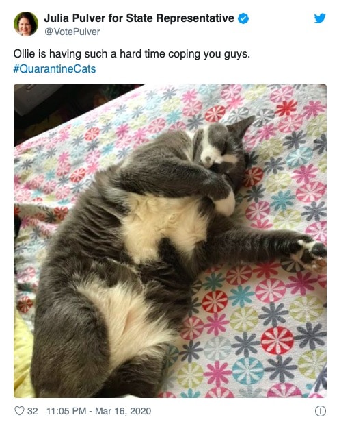 Cats Showing Us How To Quarantine and Chill No complaints 