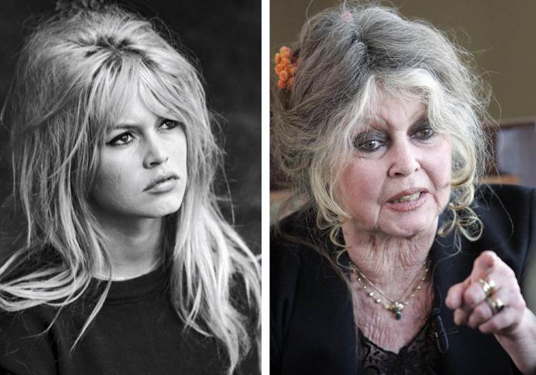 Brigitte Bardot Then And Now