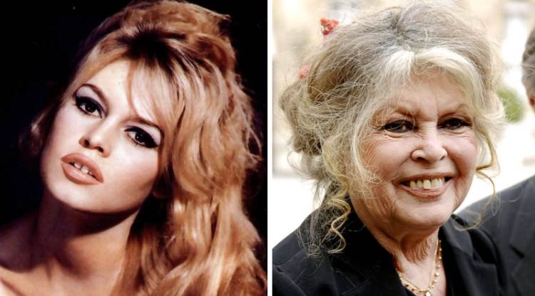 Brigitte Bardot Then And Now