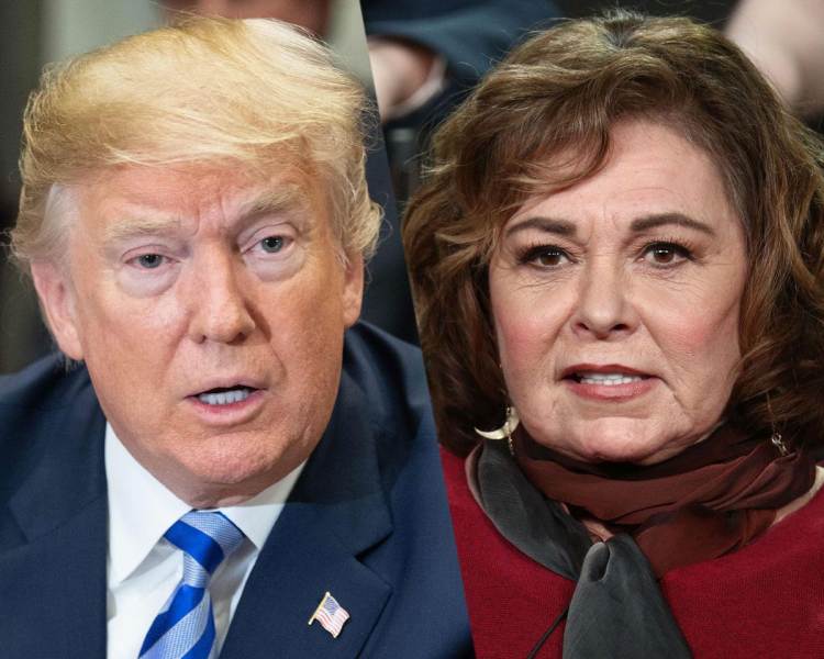 Roseanne Barr Supported Donald Trump For President