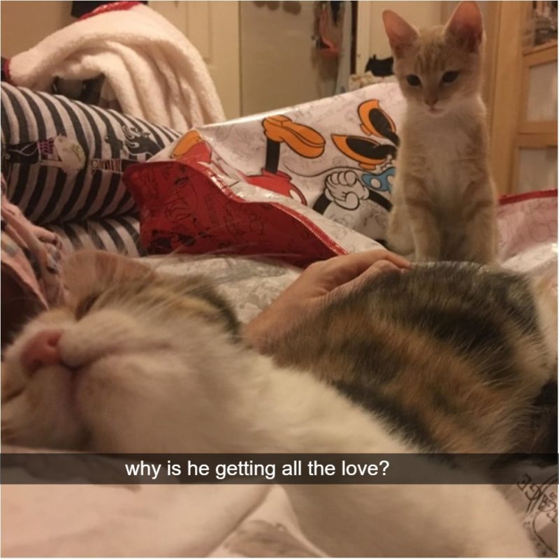 How Jealousy Looks When Your Caught On Camera Aren’t you forgetting something?