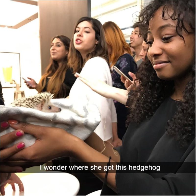 How Jealousy Looks When Your Caught On Camera I’ll have one, please