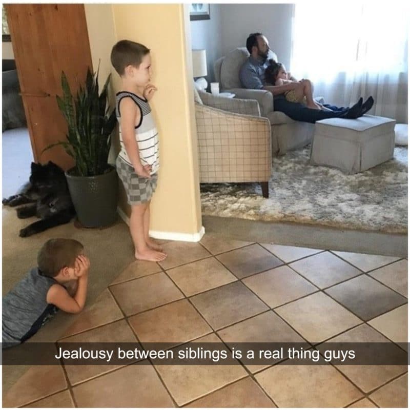 How Jealousy Looks When Your Caught On Camera Nap time