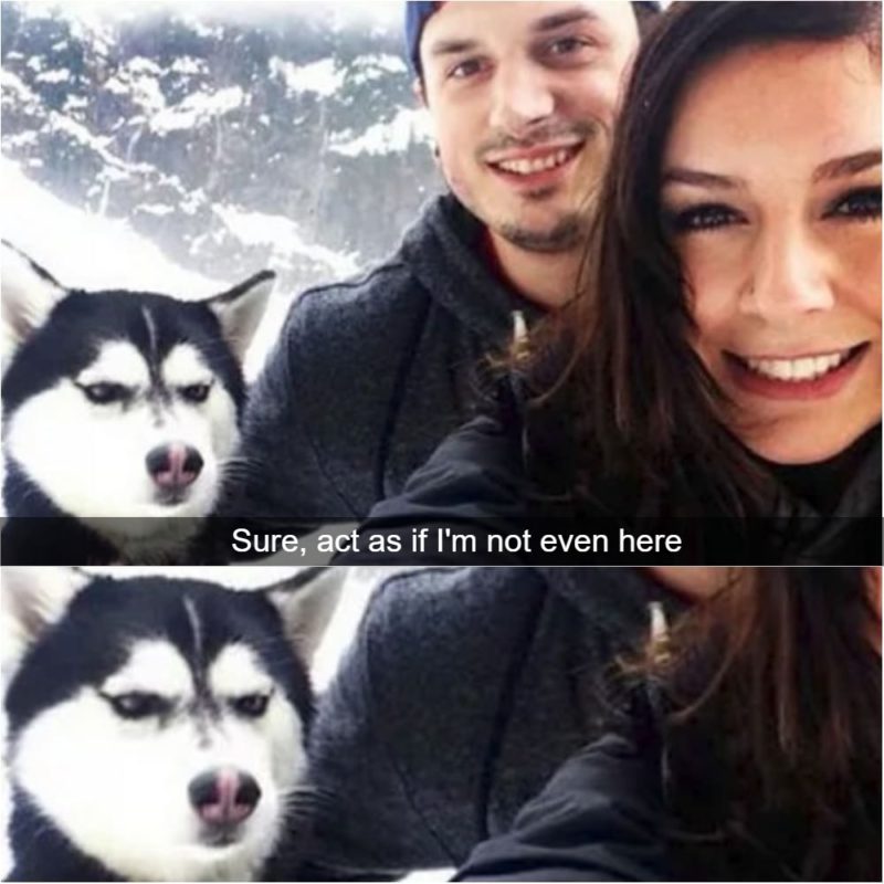 How Jealousy Looks When Your Caught On Camera Ski buddies