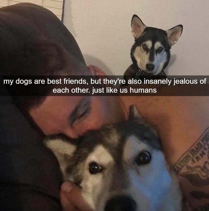 How Jealousy Looks When Your Caught On Camera There’s enough love for everyone