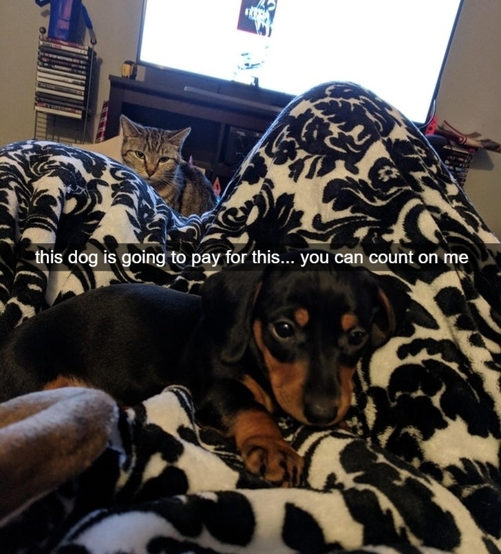 How Jealousy Looks When Your Caught On Camera This is my spot