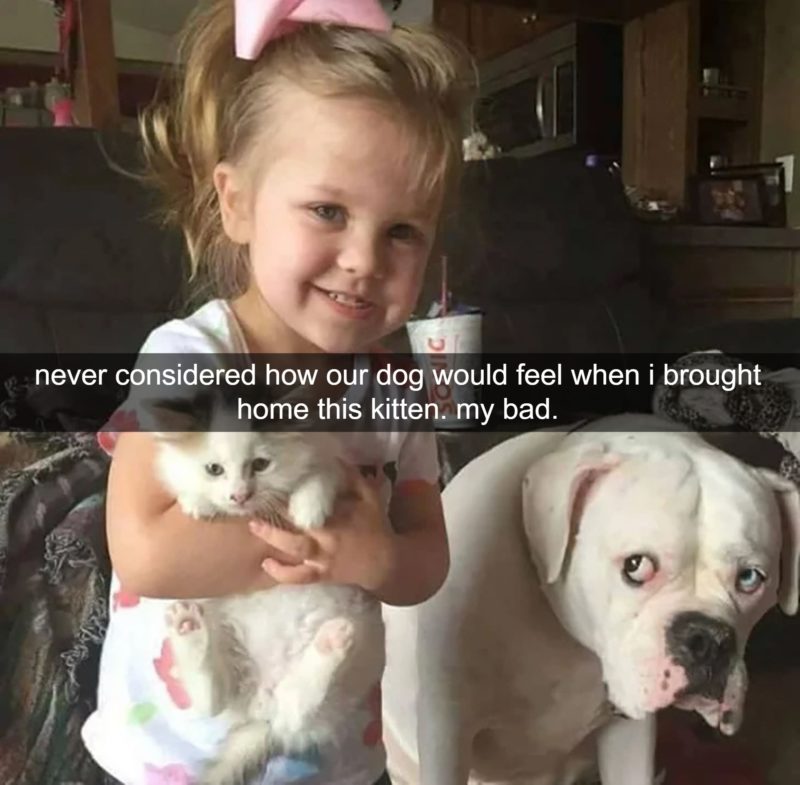 How Jealousy Looks When Your Caught On Camera Tossed aside