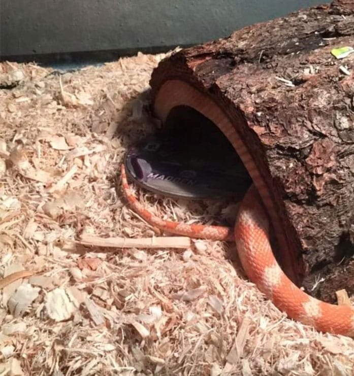 Moments When Revenge Was Totally Worth It Sneaking around