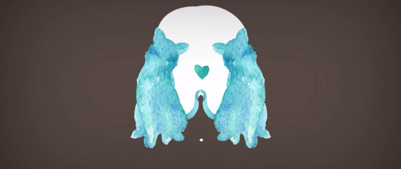 Dog Person or Cat Person? 24