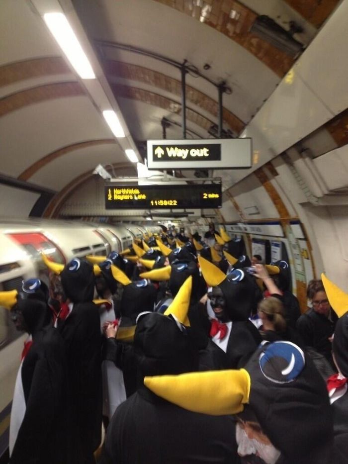 Suspect Moments Caught On The NYC Subway Penguins on board