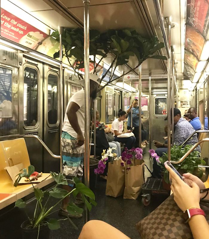 Suspect Moments Caught On The NYC Subway Plants, anyone?