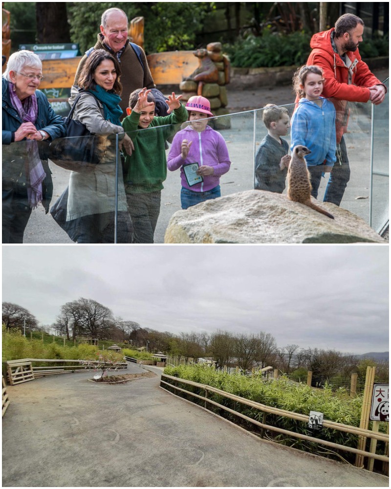 The Pandemic Places In The World Edinburgh Zoo