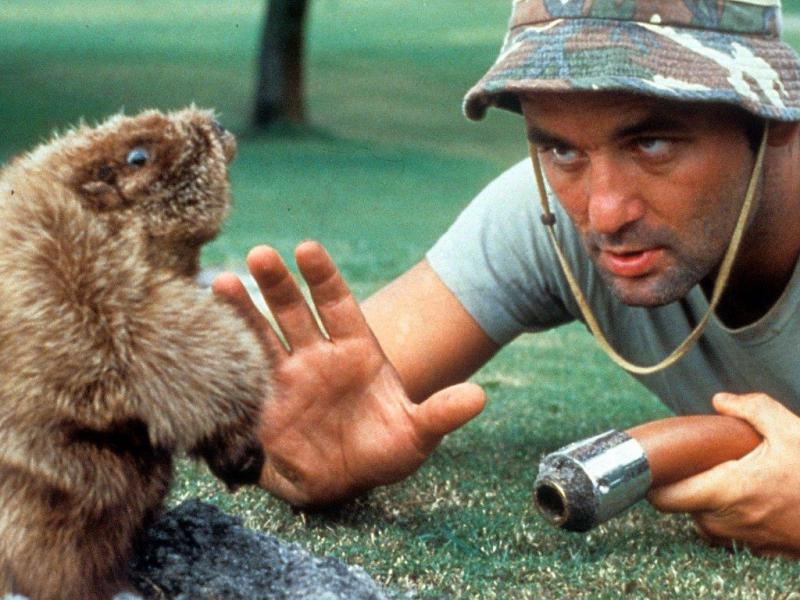 Caddyshack 9