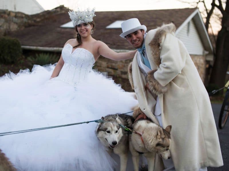 Wedding Dresses That Had Grooms Running For The Hills Someone save the dogs